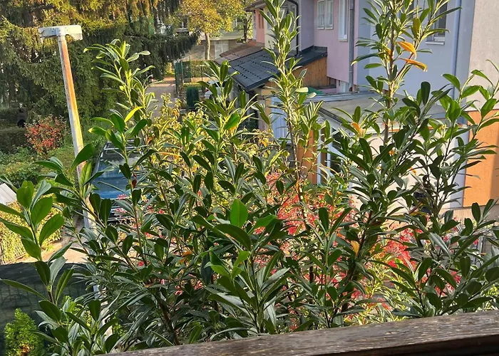 Pejton House סראייבו